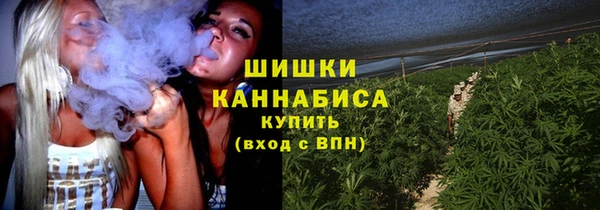 твердый Балахна