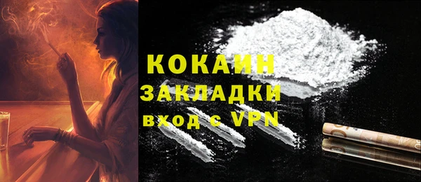 твердый Балахна