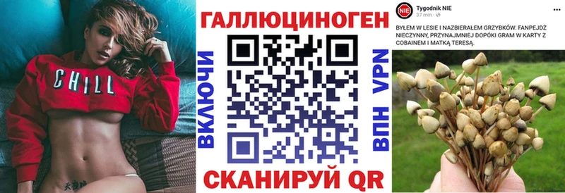 наркошоп  Борисоглебск  Псилоцибиновые грибы мухоморы 