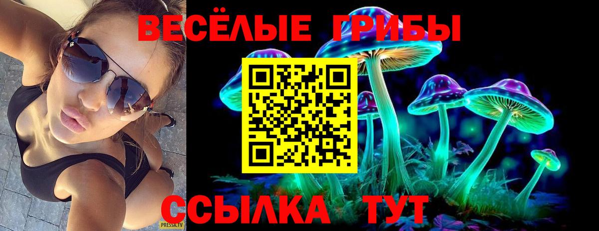Галлюциногенные грибы GOLDEN TEACHER  Вход с VPN  Борисоглебск 